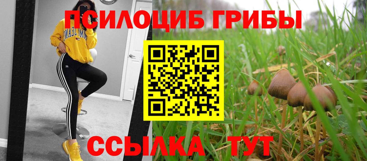Галлюциногенные грибы Cubensis  Вход с VPN  Павлово 