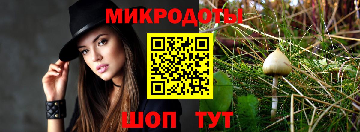 Псилоцибиновые грибы мицелий Павлово