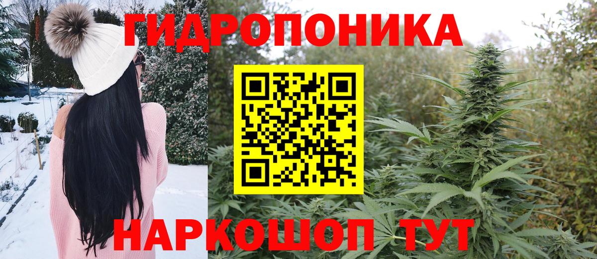 Бошки марихуана марихуана Павлово